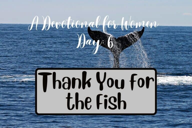 Day 6: Thank You for the Fish